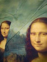 Elastik Baumwolljersey Art Print Mona Lisas Panel 200x163cm von Stenzo