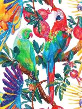 Baumwolljersey Papagei-Granatapfelbaum Jersey Print Stenzo