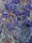 French Terry Panel -Schwertlilien- Sweat Jersey Stenzo