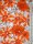 Baumwolljersey Pumpkin Flowers Rostorange Elastikjersey COUPON 150x155cm