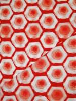 Retro Print  Viskose Javanaise -Rounded Octagon- COUPON...