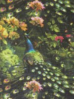 Baumwolljersey -Abendpfau- Jerseyprint von Stenzo Fabrics