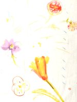 nani Iro Japan Double Gauze “HANA NO TOKI NIWA“ Organic Cotton