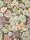Liberty Fabrics MARINA´S WALK Braun Tana Lawn® Batist