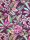 Baumwoll Jersey -Ornate Echo- Baumwolljersey Stenzo -Reststück 1m -